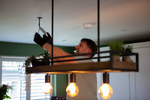 Best Electric Panel Repair  in Leesburg, OH
