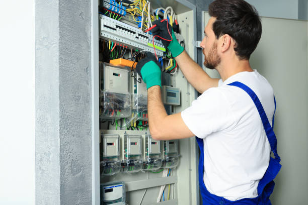 Best Electric Panel Repair  in Leesburg, OH